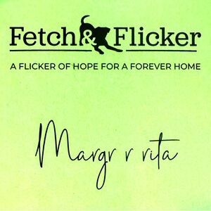 Margrrrita Wax Melts